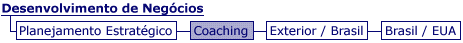 Desenvolvimento de Neg&oacute;cios - Coaching
