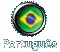 Portuguese Version